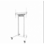 NM NWS Stand mobil motorizat 37"-100" wh
